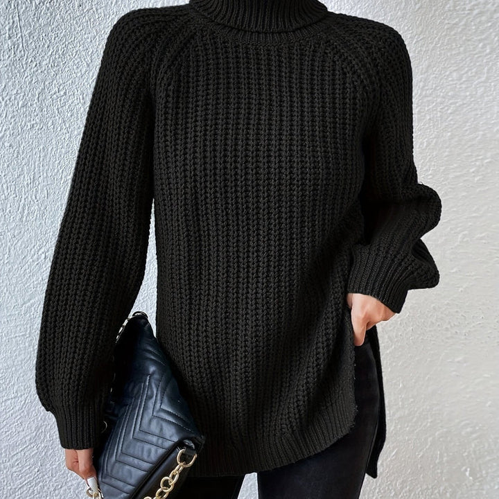 Lorina - Knit Turtleneck Long Sleeve Sweater